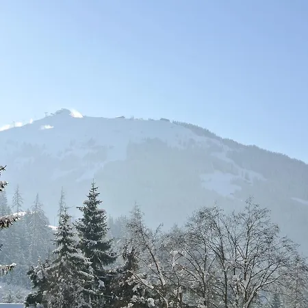 Studio Schwarzenauer Apartment