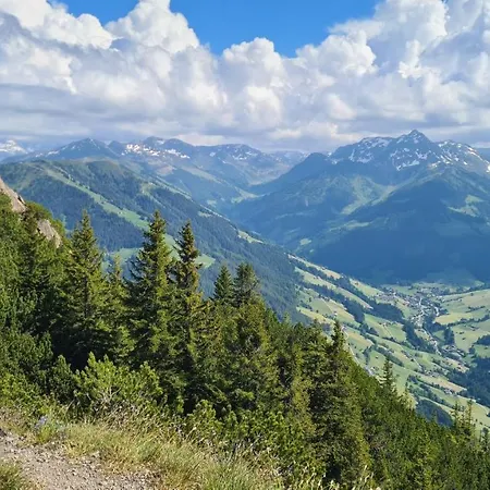 Apartament Studio Schwarzenauer *