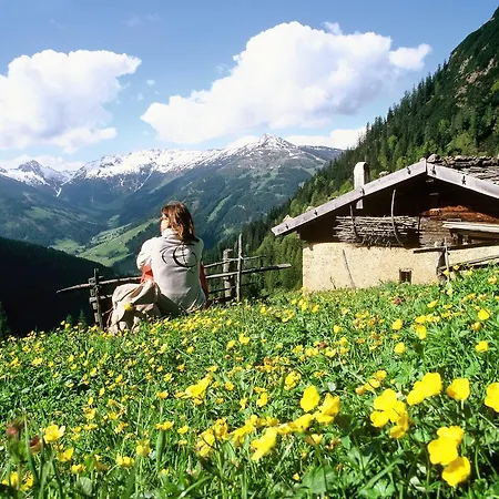 Apartment Studio Schwarzenauer *