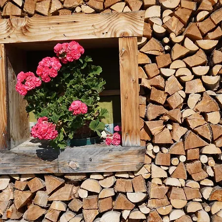 Studio Schwarzenauer Apartment Alpbach