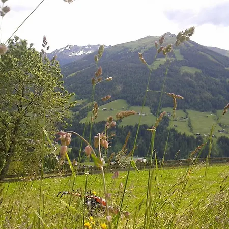Apartament Studio Schwarzenauer *