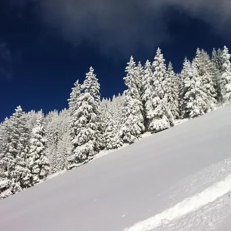 Appartement Studio Schwarzenauer Alpbach