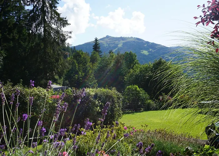 Studio Schwarzenauer Apartment *