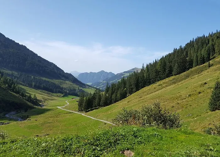 Studio Schwarzenauer *