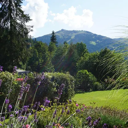 Studio Schwarzenauer Апартаменты *