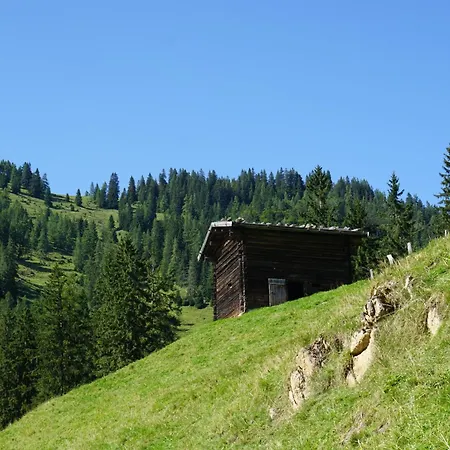 Апартаменты Studio Schwarzenauer