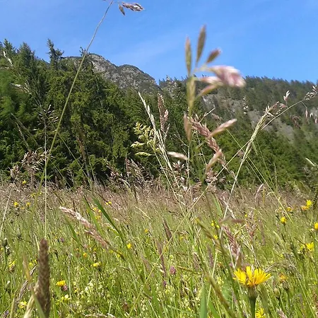 Apartmán Studio Schwarzenauer Alpbach