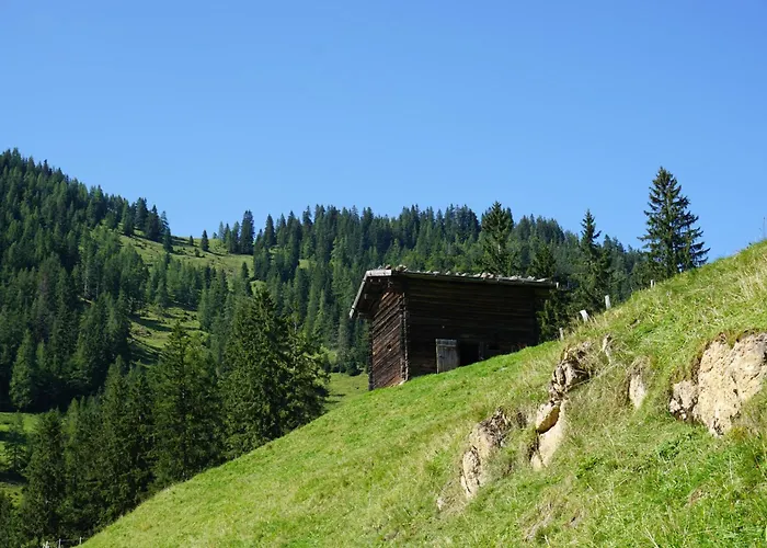 Апартаменты Studio Schwarzenauer