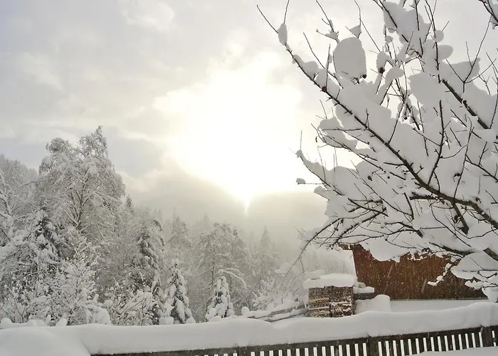 Studio Schwarzenauer Апартаменты *