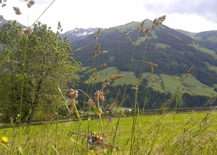 Апартаменты Studio Schwarzenauer *