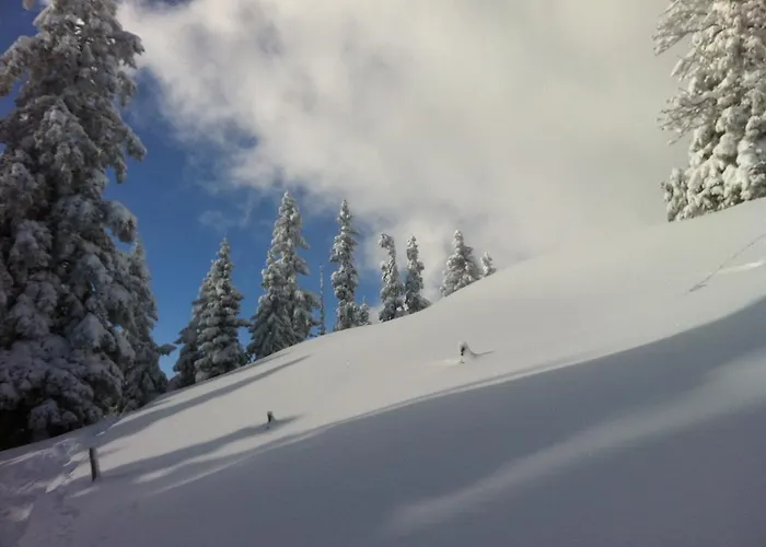 Studio Schwarzenauer * Альпбах