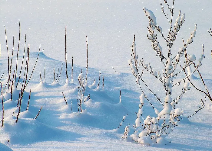 Studio Schwarzenauer * Альпбах