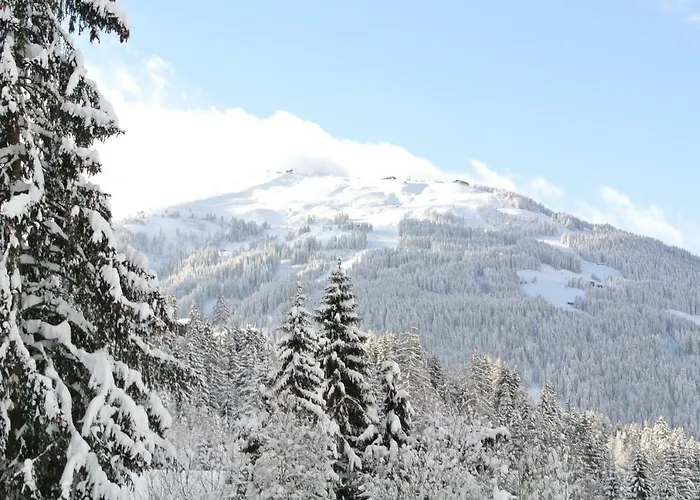 Апартаменты Studio Schwarzenauer