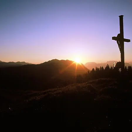 Studio Schwarzenauer Daire