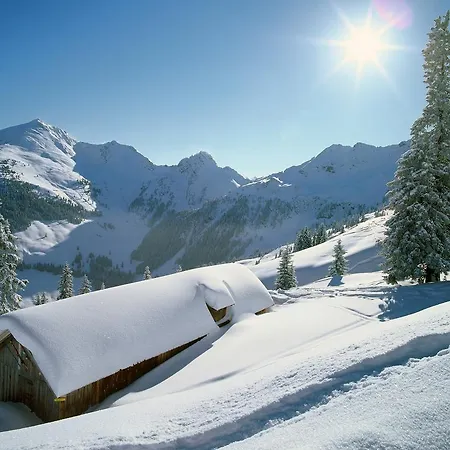 Studio Schwarzenauer Daire *