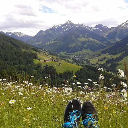 Daire Studio Schwarzenauer Alpbach