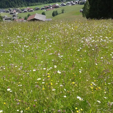 Studio Schwarzenauer Alpbach
