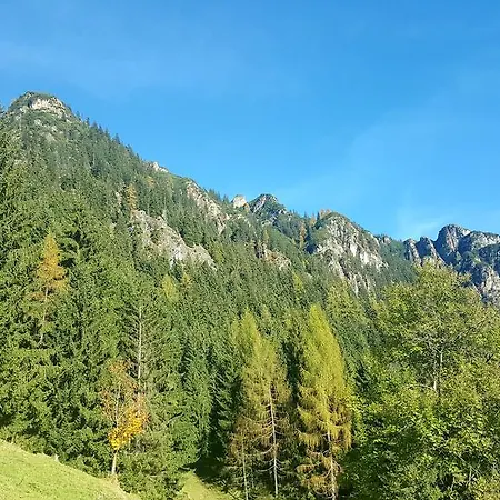 Studio Schwarzenauer Alpbach