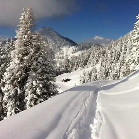 Studio Schwarzenauer Daire Alpbach