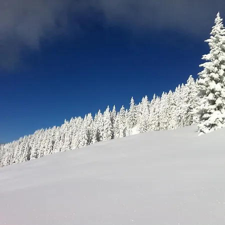 Studio Schwarzenauer