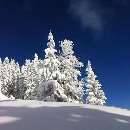 Studio Schwarzenauer * Alpbach