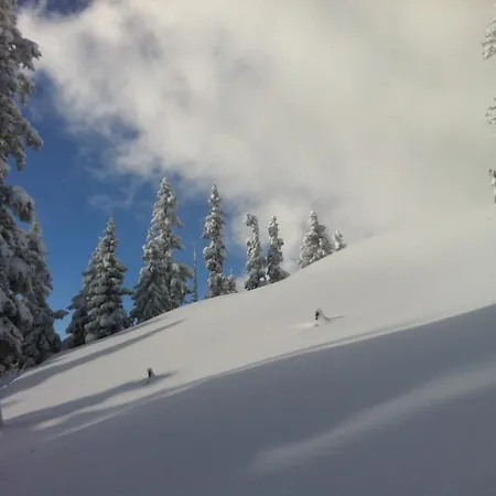 Studio Schwarzenauer * Alpbach