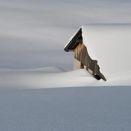 Daire Studio Schwarzenauer *