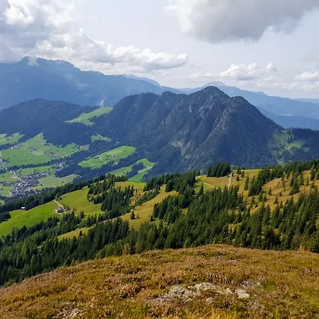 Studio Schwarzenauer Daire *