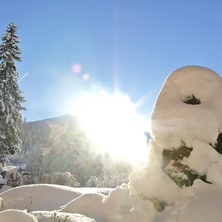 Daire Studio Schwarzenauer