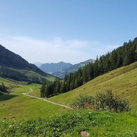 Studio Schwarzenauer *