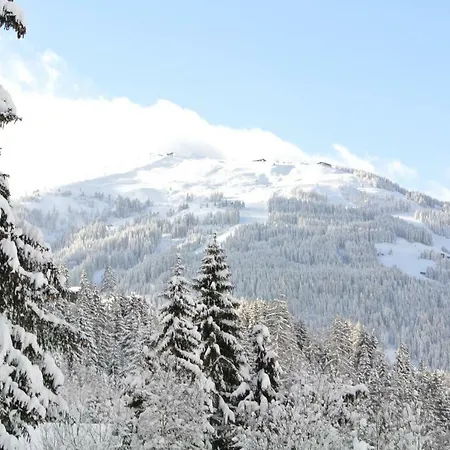 Daire Studio Schwarzenauer