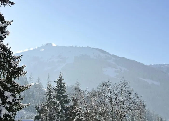 Studio Schwarzenauer Lägenhet