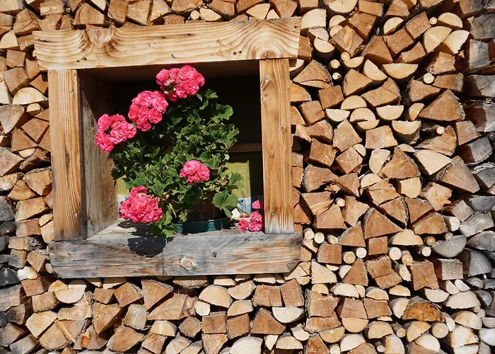 Studio Schwarzenauer Lägenhet Alpbach