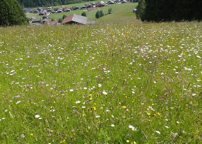 Studio Schwarzenauer Alpbach
