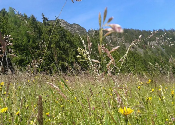 Lägenhet Studio Schwarzenauer Alpbach