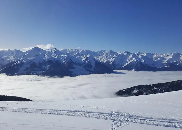 Studio Schwarzenauer