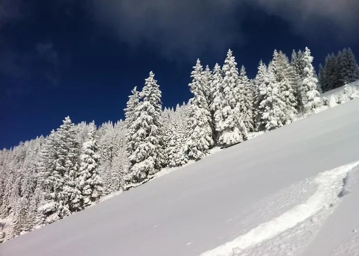 Lägenhet Studio Schwarzenauer Alpbach
