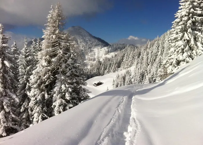 Studio Schwarzenauer Lägenhet Alpbach