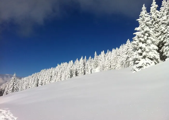 Studio Schwarzenauer