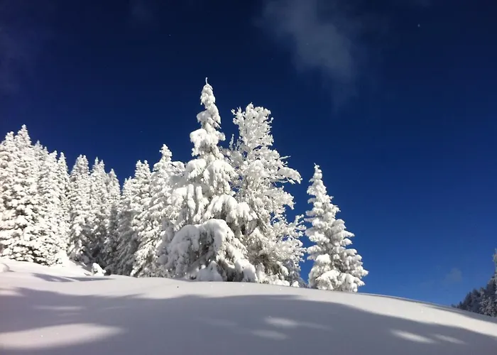 Studio Schwarzenauer * Alpbach