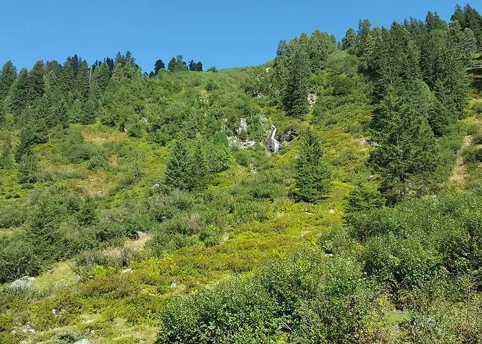 Studio Schwarzenauer Lägenhet