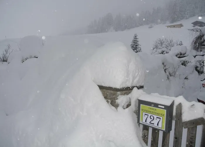 Studio Schwarzenauer Alpbach